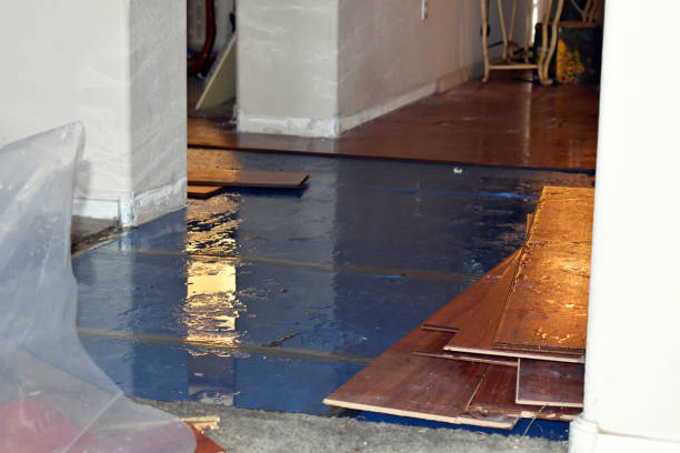 Professional Water Damage Restoration technician working in Greer, AZ